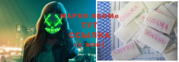 дживик Аркадак