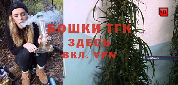 дживик Аркадак