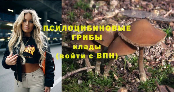 дживик Аркадак