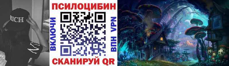 Купить закладки  Балашиха  Галлюциногенные грибы мухоморы 